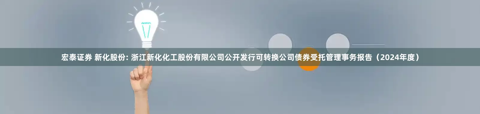 宏泰证券 新化股份: 浙江新化化工股份有限公司公开发行可转换公司债券受托管理事务报告（2024年度）