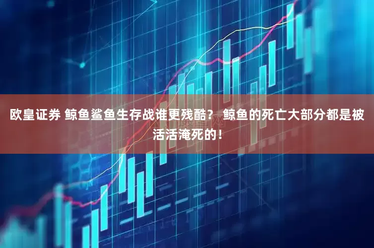 欧皇证券 鲸鱼鲨鱼生存战谁更残酷？ 鲸鱼的死亡大部分都是被活活淹死的！