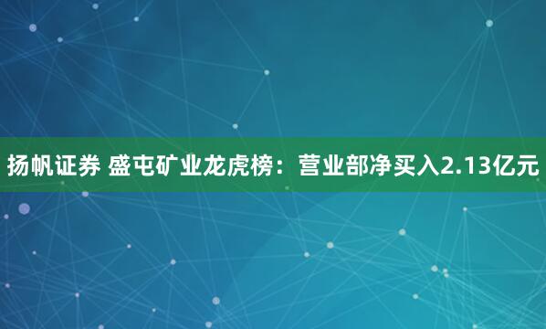 扬帆证券 盛屯矿业龙虎榜：营业部净买入2.13亿元