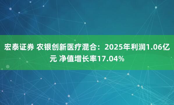 宏泰证券 农银创新医疗混合：2025年利润1.06亿元 净值增长率17.04%